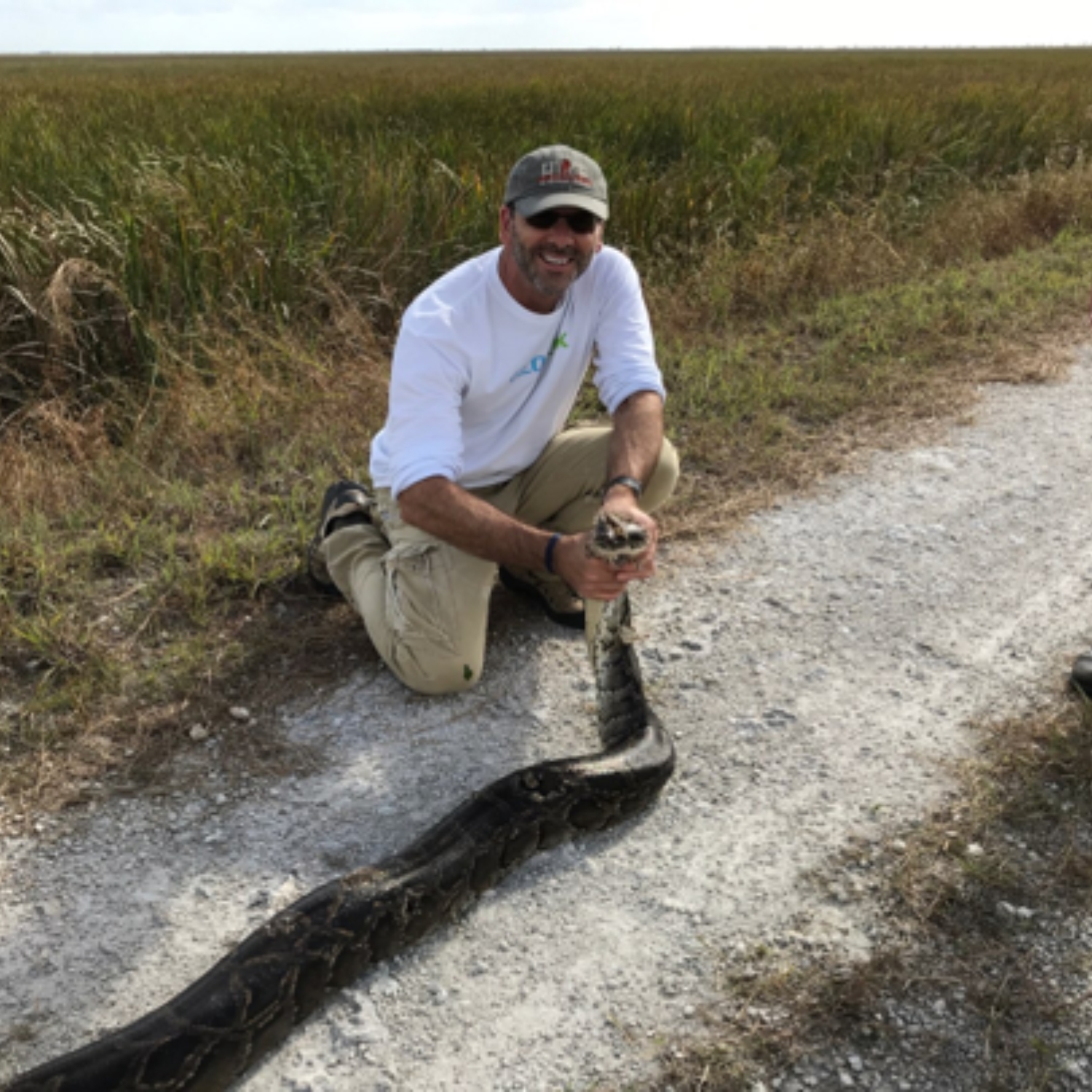 Doing my part by helping catch this invasive python while in the Everglades.