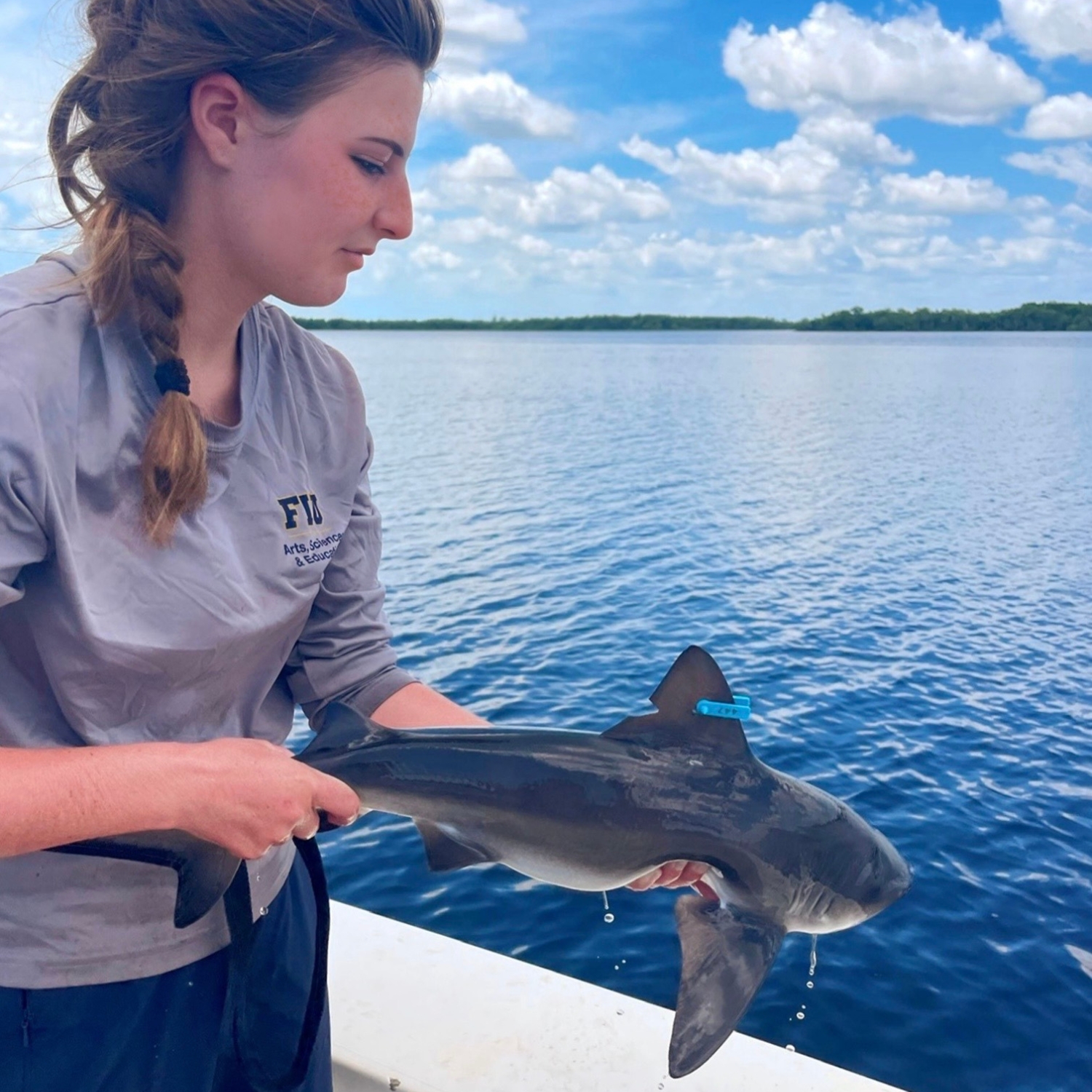 I always find it exhilarating when you get to release a tagged baby bull shark in the Everglades. PC: Marina Wennstrom