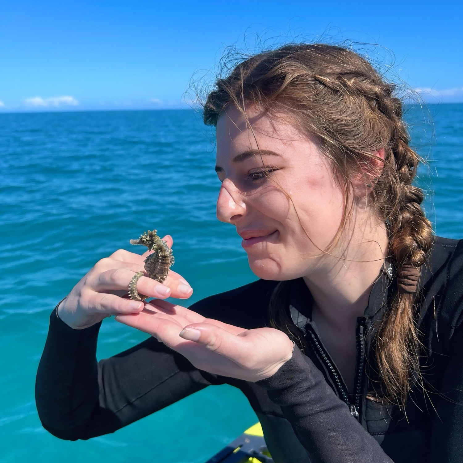 Say hi to my hitchhiking friend I picked up while snorkeling in the Florida Keys. PC: Sean Sullivan