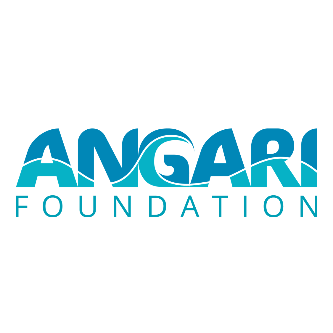 Mission & Vision - ANGARI Foundation