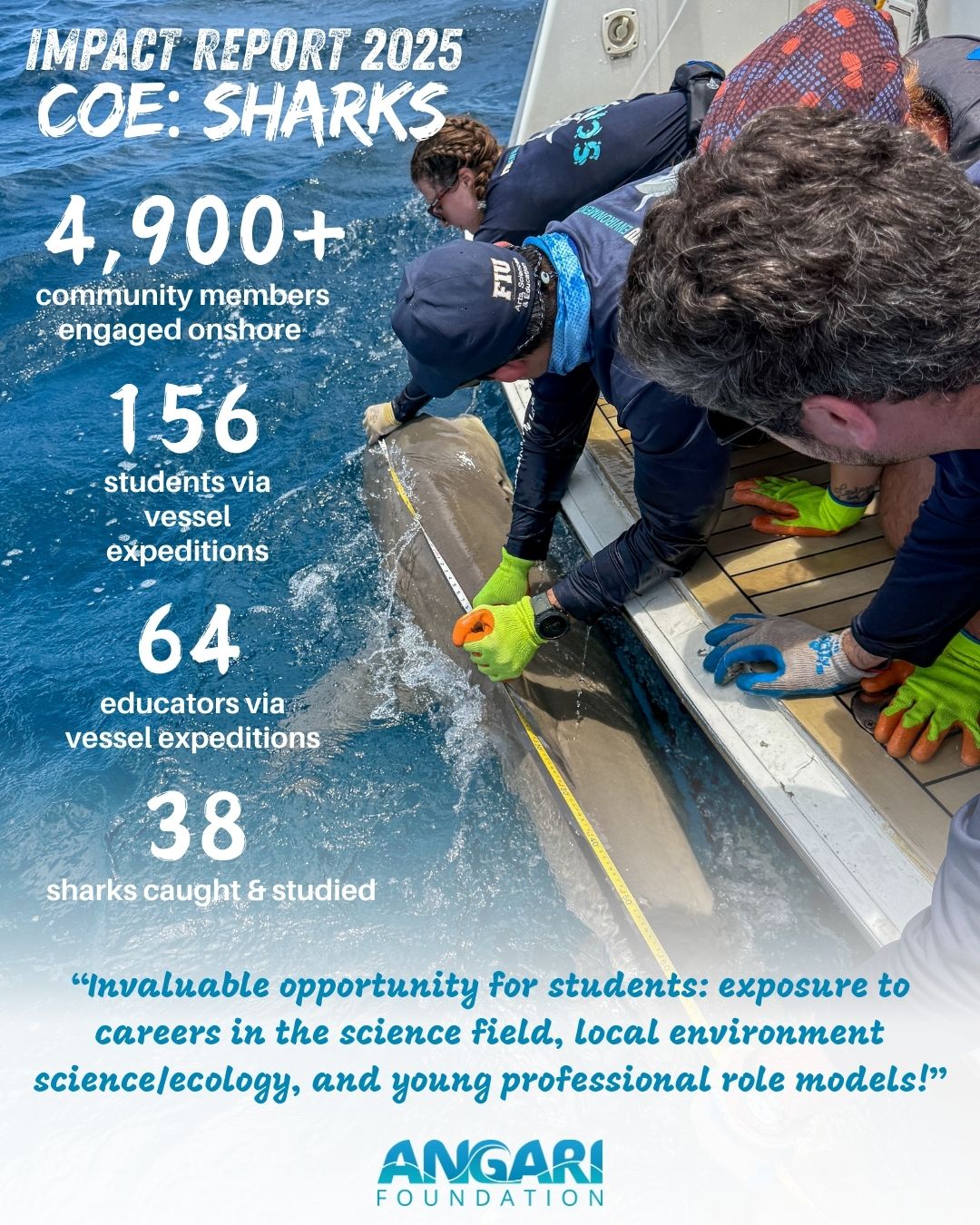 Coastal Ocean Explorers: Sharks Impact 2025