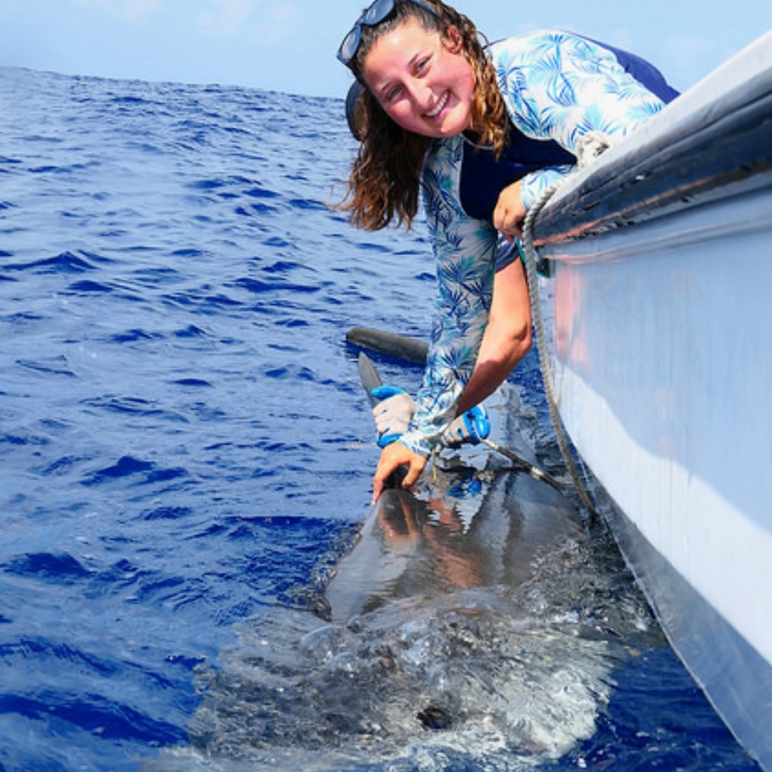 I love helping out with a tag-and-release procedure on a tiger shark during a field expedition in The Bahamas, contributing to large coastal shark movement and ecology research.