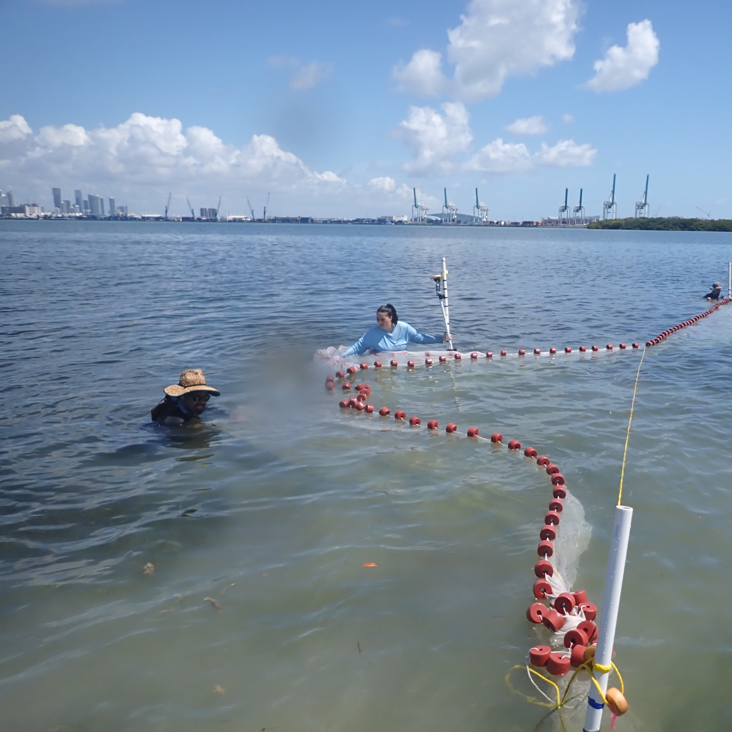 Here I am conducting nekton surveys in Biscayne Bay, Florida, as part of my dissertation research on habitat patterns, environmental gradients and trophic dynamics.