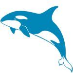 Killer Whale Icon