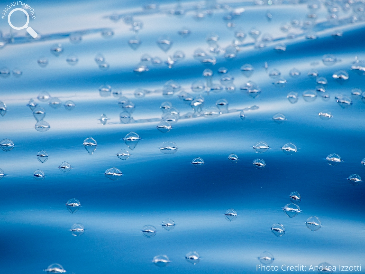 #ANGARIDeepDive_By-the-wind Sailor_PC_Andrea Izzotti