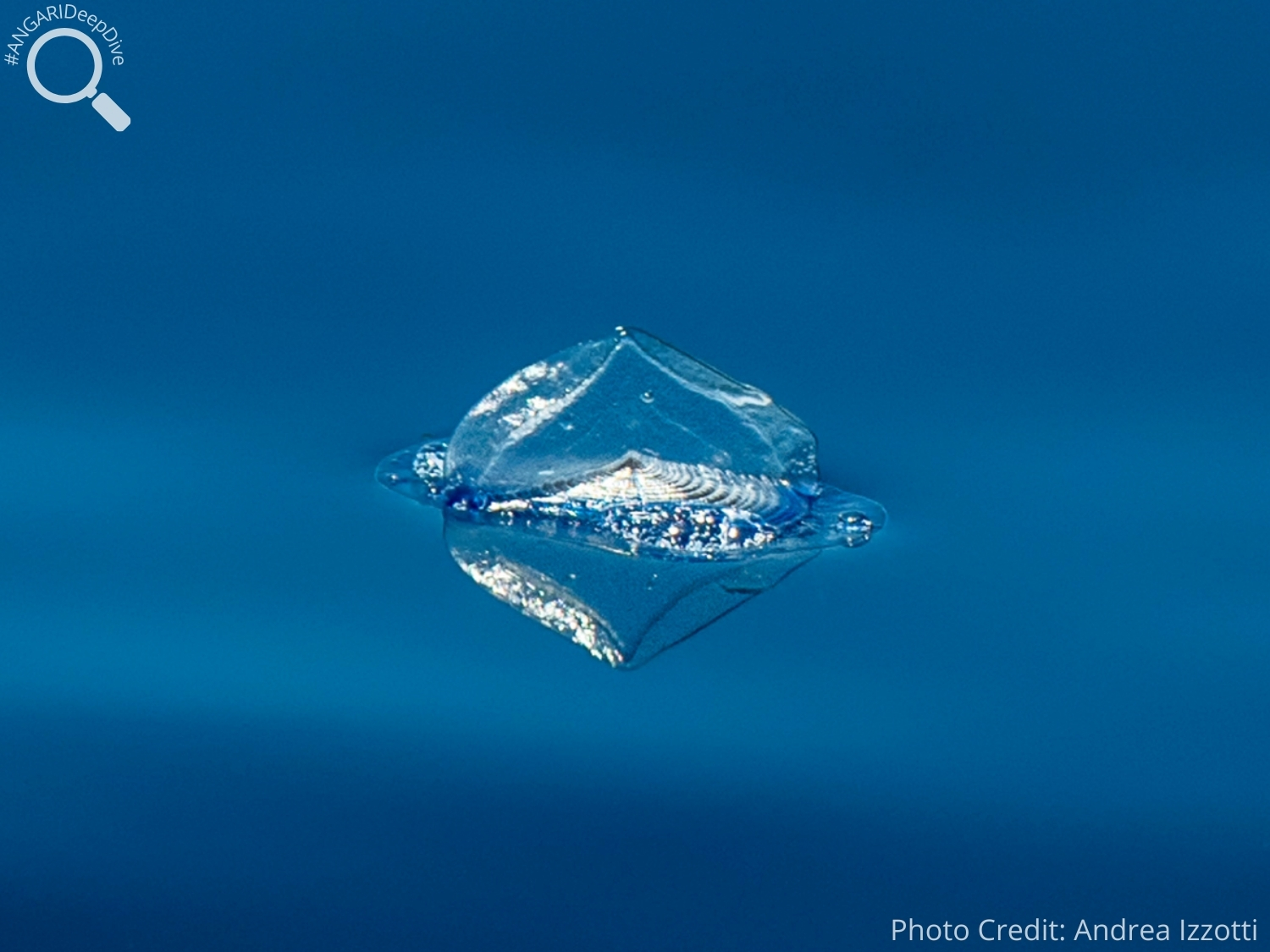 #ANGARIDeepDive_By-the-wind Sailor_PC_Andrea Izzotti