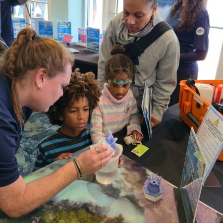 ManateeFest - Feb 2026