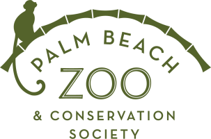 Palm Beach Zoo & Conservation Society Logo