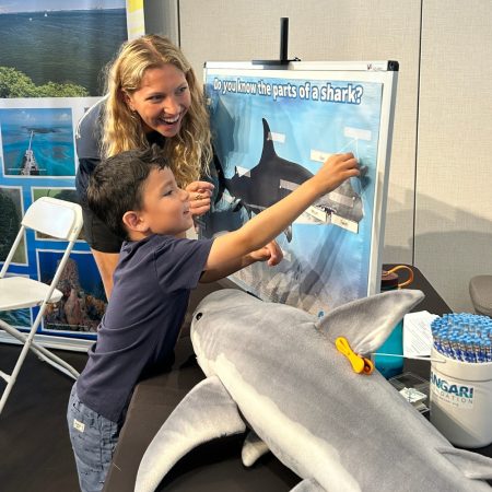 TurtleFest - Feb 2026