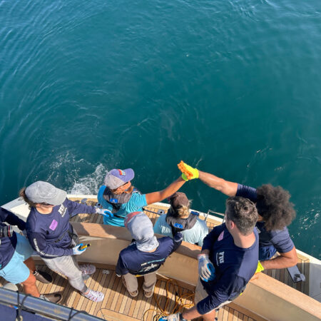 COE: Sharks Educator Workshop - Jul 2026