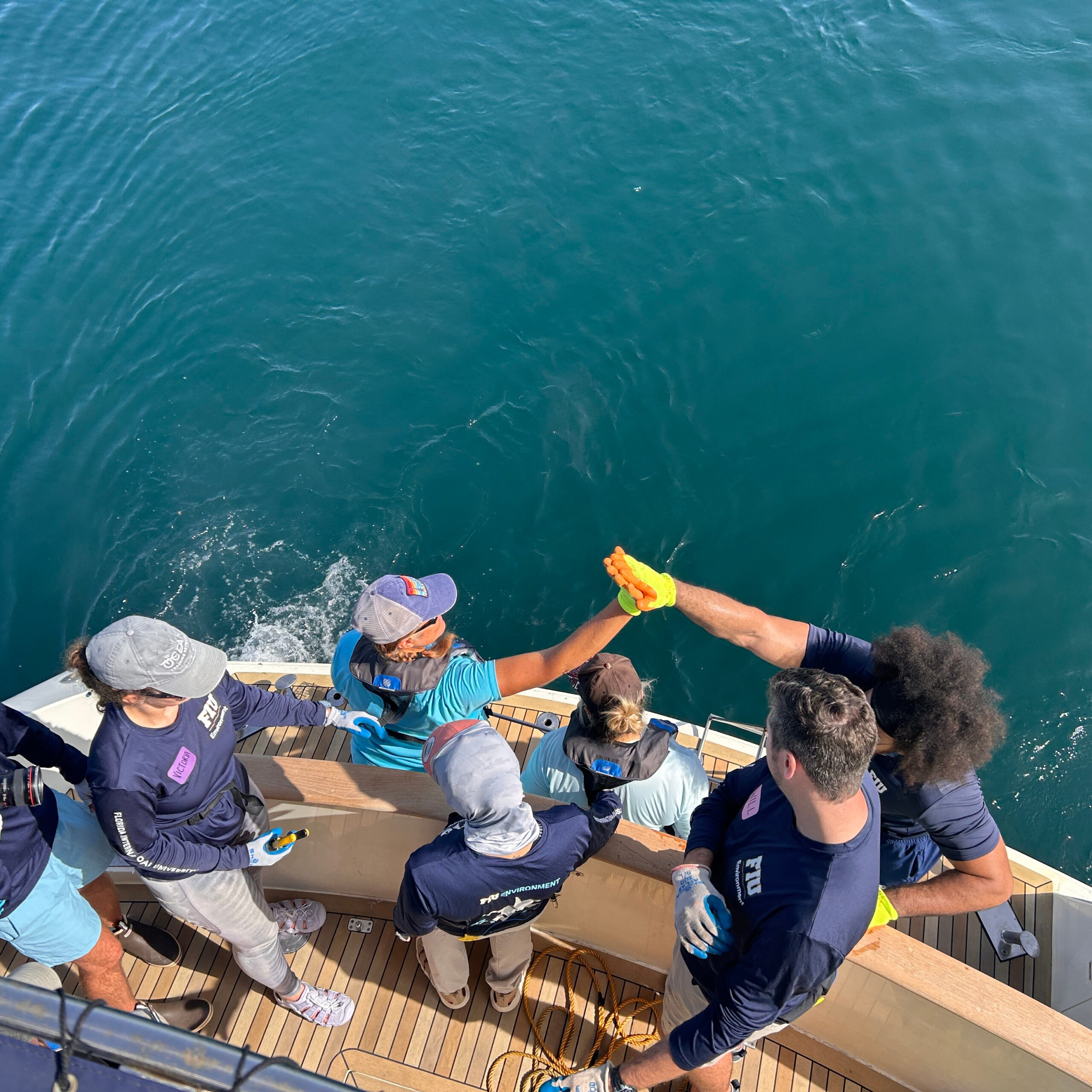 COE: Sharks Educator Workshop - Jul 2026