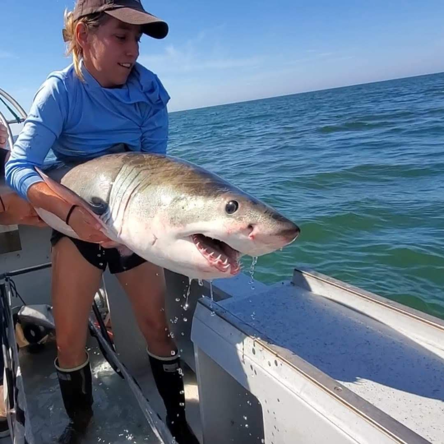 I will never forget the awesome feeling after tagging and releasing this newborn white shark in Southern California.