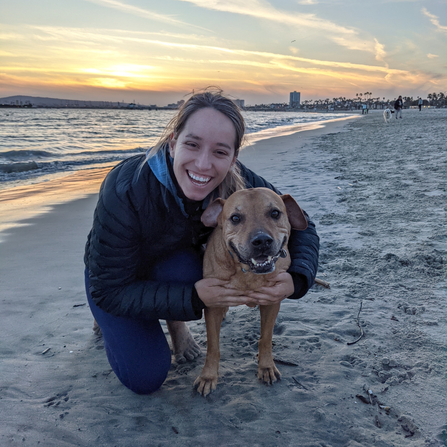 My dog Finn loves the beach!