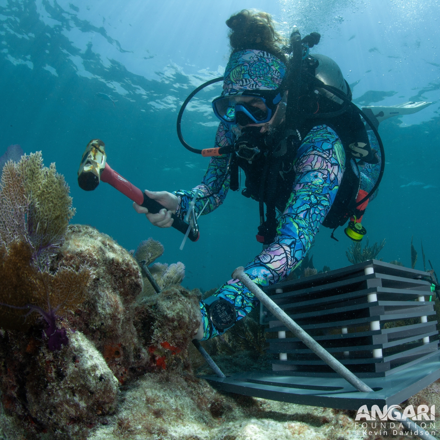 Here I am securing an Autonomous Reef Monitoring Structure to the seafloor to study invertebrate communities in the Florida Keys National Marine Sanctuary.